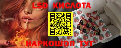 гашик Кулебаки