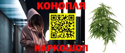 гашик Кулебаки