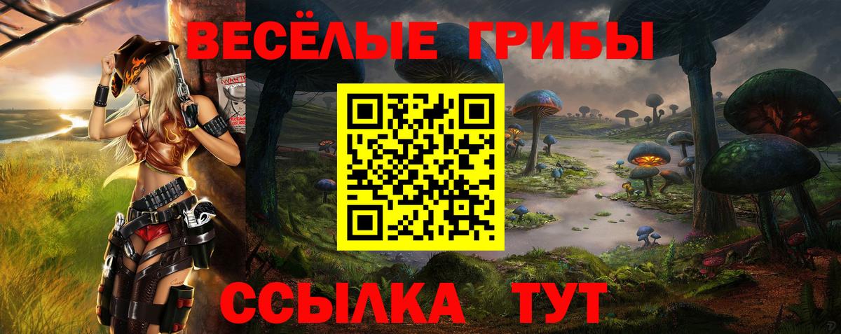 Кольчугино  Галлюциногенные грибы GOLDEN TEACHER  Псилоцибиновые грибы GOLDEN TEACHER  Вход с VPN 